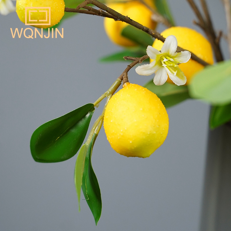 Lemon Branches With Fruit Simu - Desk Setup Photo ulasan dan harga